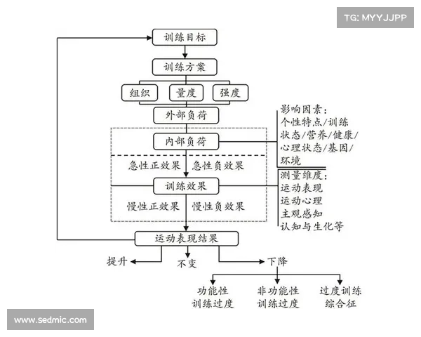 智能足球战术解析 AI技术助力精准训练与战略制定 智能足球战术解析 AI技术助力精准训练与战略制定